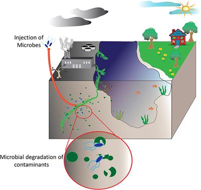 Enzymatic Bioremediation of Organophosphate Compounds—Progress and Remaining Challenges